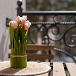Nostro Sole